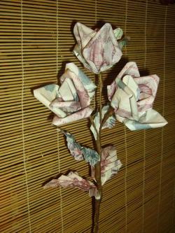 Egy rózsa története