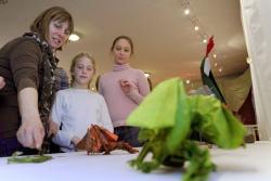 Papír a sárkány - Sárkányos mesék, mesés sárkányok pályázat és kiállítás