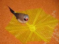 Érdekességek - Az origami ragályos