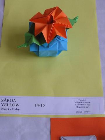 Váradiné Szilágyi Zsuzsanna: Cserepes virág