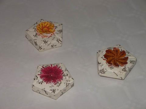 Tiny van der Plas: Dobozok