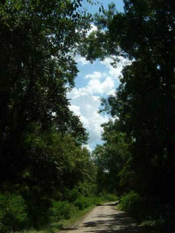 Kirándulás Gemencben