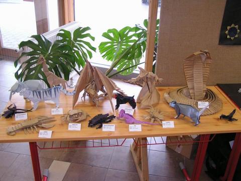 Adam Szewczyk munkái