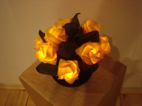 Terleczky Ádám: Kawasaki rózsák