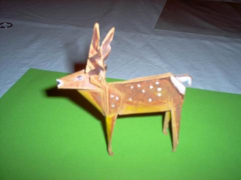 Héctor Rojas F. : Szarvas