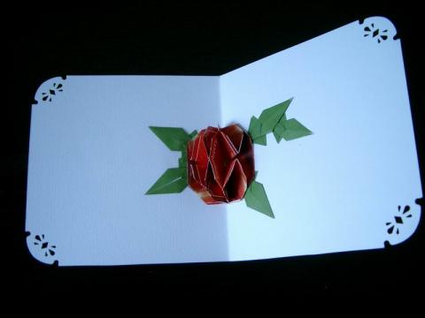 Somogyi Mariann: Üdvözlőlap