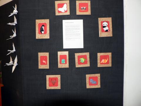 Kricskovics Zsuzsanna modelljei