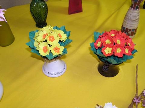 Ácsné Dóczi Éva: Primulák