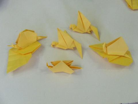 modellek - csigák és papagájok