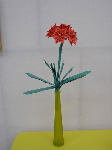 Ácsné Dóczi Éva: Amarillisz